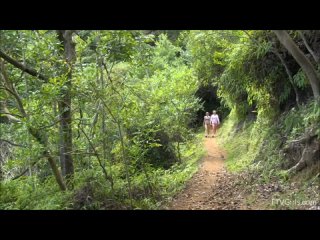 nicole veronica - nature adventure 2