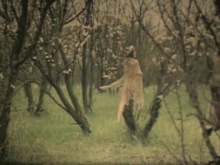 lyudmila efimenko (terzieva) - forest song. mavka (1981)