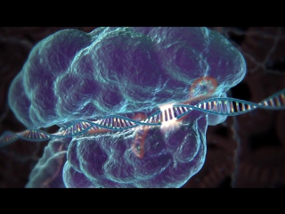 genome editing with crispr-cas9