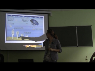 2014 11 04 - zoology of invertebrates - rimskaya-korsakova n n., borisanova a o. part 2