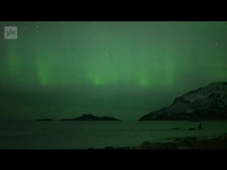 humpback whales in the light of the northern lights -2015-10-07